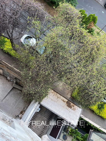 Edificio en Polanco - 